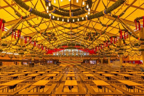 Wiesnaufbau, beer tavern in the Ochsenbraterei marquee, Oktoberfest, Theresienwiese, Munich, Upper Bavaria, Bavaria, Germany, Europe