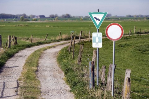 Nature reserve near Rees on the Lower Rhine, field path, pasture, paddock, pasture fences, meadow, Rees, North Rhine-Westphalia, North Rhine-Westphalia, Germany, Europe