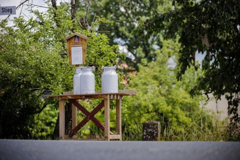 Milk cans stand for collection on a bench in the village of Mackenrode. Mackenrode, 28.06.2022, Mackenrode, Germany, Europe