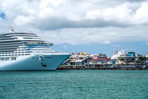 Cruise ship MSC Preziosa in the port of Pointe-a-Pitre seen from the sea, Guadeloupe, France, North America