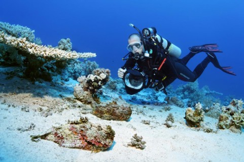Diver, photographer, underwater photographer with camera, underwater camera, diving over sandy bottom, photographing skipjack