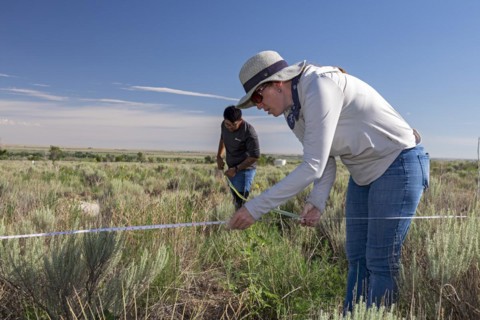 Granada, Colorado, The University of Denver Archaeology Field School at the World War 2 Amache Japanese internment camp. Participants map the site near the Amache high school in preparation for the ne...