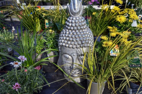 Buddha head between flowers, Allgaeu, Bavaria, Germany, Europe