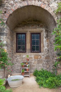 Michaelstein Monastery, Herb Garden, Detail, Blankenburg, Harz Mountains, Saxony-Anhalt, Germany, Europe