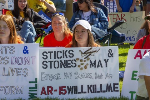 Oxford, Michigan USA, 11 June 2022, Hundreds rallied for tighter gun control laws in the town where four students were shot and killed at Oxford High School in November 2021. It was one of many rallie...