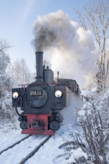 Winter steam locomotive ride of the Steyrtalbahn museum railway in Gruenburg, Upper Austria, Austria, Europe