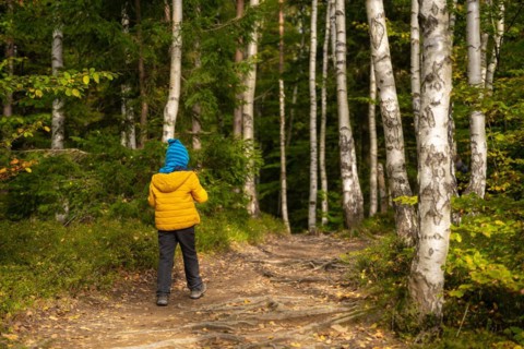 A little boy is walking on a hiking trail through the forest