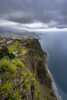 View of the cliffs from the viewing platform