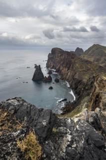 Coastal landscape