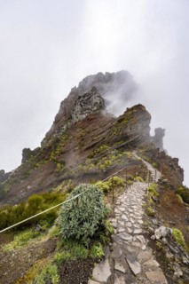 Hiking trail in the fog