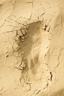 Footstep traces on dry sand