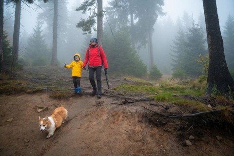 Mum and her little son go on a mountain trail in wet autumn weather. They are accompanied by a dog. Polish mountains