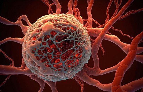 Schematic representation of a highly vascularised tumour cell