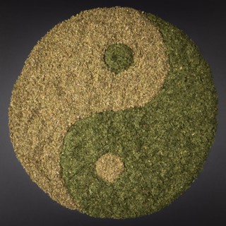 Yin Yang from dried oregano and dried parsley