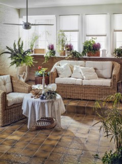 Living room with wicker furniture and houseplants