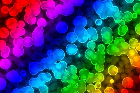 Shape of bacterial cell: cocci