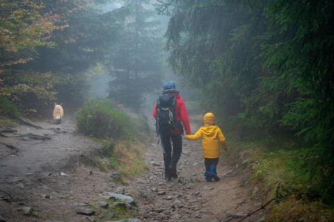 Mum and her little son go on a mountain trail in wet autumn weather. They are accompanied by a dog. Polish mountains