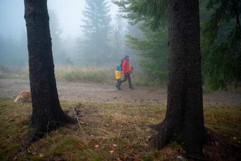 Mum and her little son go on a mountain trail in wet autumn weather. They are accompanied by a dog. Polish mountains