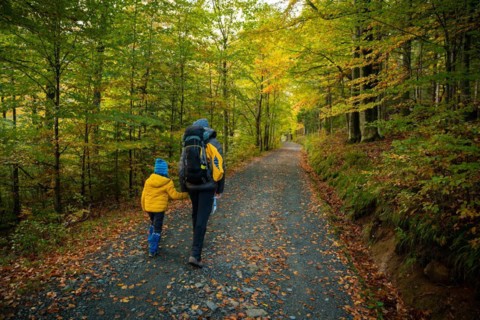 During the autumn