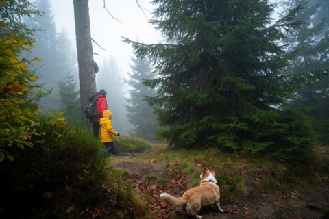 Mum and her little son go on a mountain trail in wet autumn weather. They are accompanied by a dog. Polish mountains