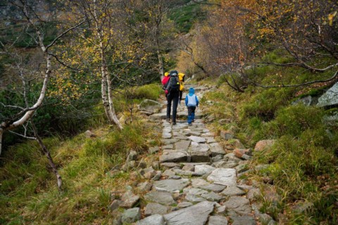 During the autumn