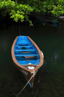 Blue fishing boat lies leashed in