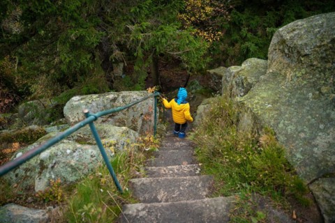 The child descends the stone steps on the hiking trail in the mountains. Polish mountains