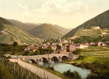 Rech im Ahrntal