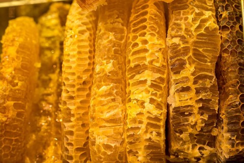 Sweet fresh honey in the sealed comb frame