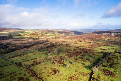 View over Emsworthy Mire from a drone