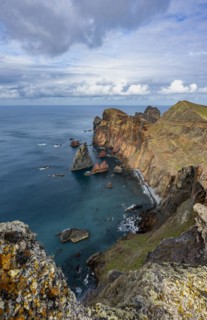 Coastal landscape
