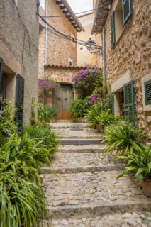 Flower pots in an alley with typical stone houses