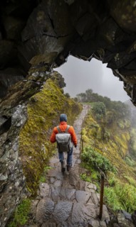 Hikers in the fog