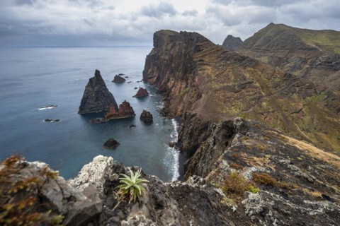 Coastal landscape