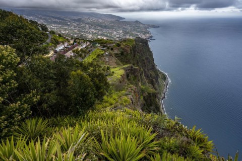 View of the cliffs from the viewing platform