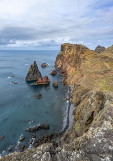 Coastal landscape