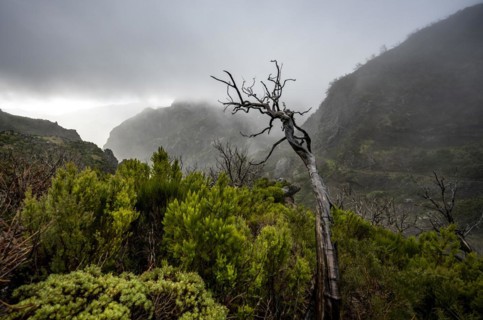 Cloud-covered mountains
