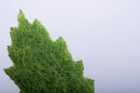 One separate green fake leaf