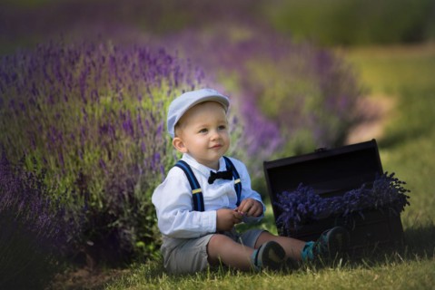 Beautiful little boy on a sunny day in a lavender field. Poland
