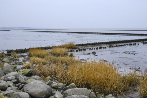 Wadden Sea National Park near Keitum