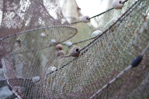 Fishing nets on Langeland