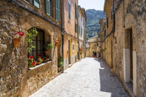 Flower pots in alley with typical stone houses