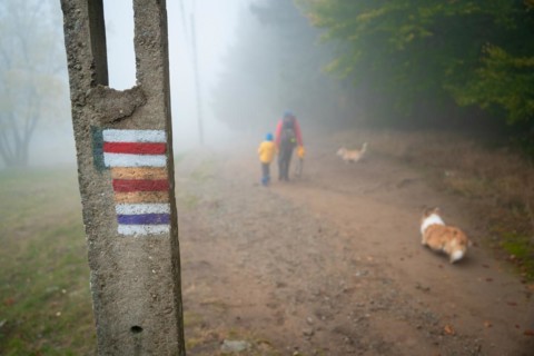 Mum and her little son go on a mountain trail in wet autumn weather. They are accompanied by a dog. Polish mountains