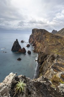 Coastal landscape