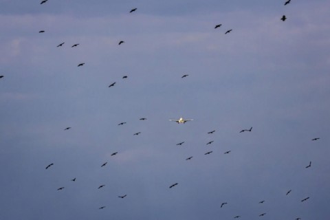 Aircraft on approach