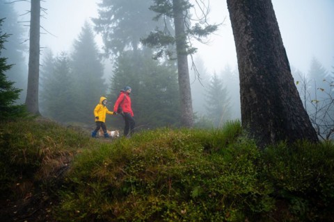 Mum and her little son go on a mountain trail in wet autumn weather. They are accompanied by a dog. Polish mountains