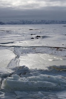The icy fjord of Kangerlussuaq at the harbour of the settlement of Kangerlussuaq