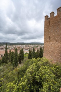 Fortified defence tower of the old castle