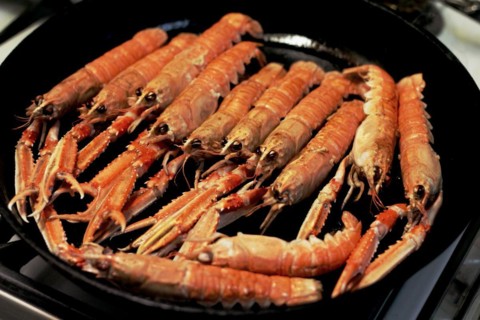 Scampi