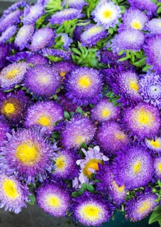 Beautiful bouquet of flowers on street flower vendor
